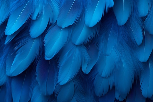 Gradiënt blauw gevelpapier met veren