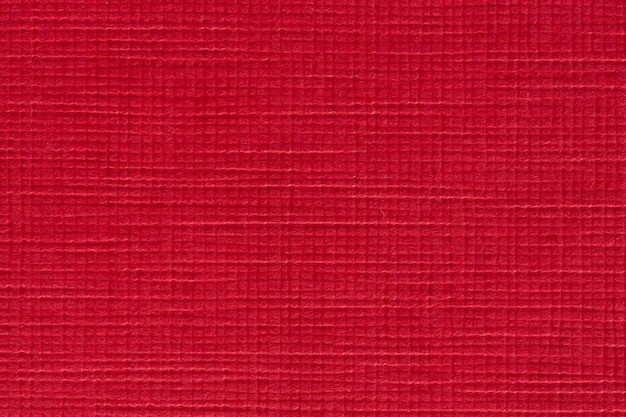 Gradient red background. Close up. High resolution photo