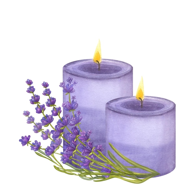 Gradient violet candles burning fire Bouquet bunch lavender watercolor illustration isolated