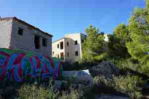 Photo a graffiti covered building in the middle of a forest