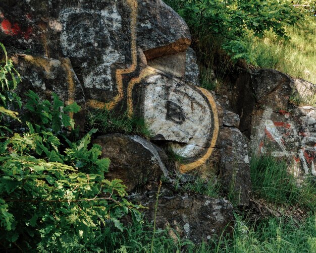 Photo graffiti on old wall