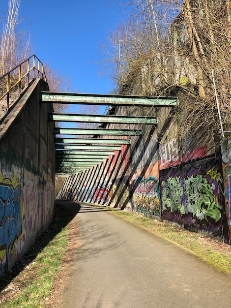 Foto graffiti sul muro di un edificio