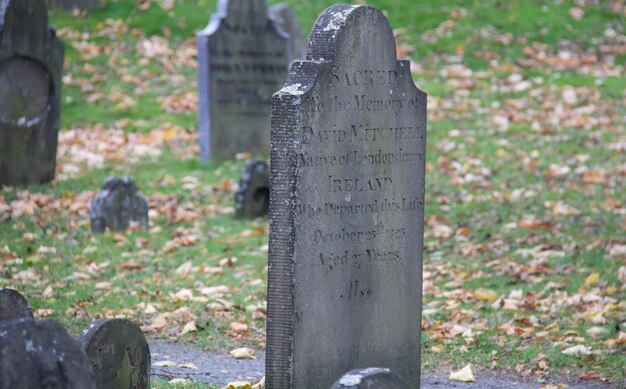 Foto grafstenen op de begraafplaats