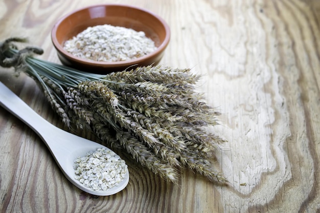 Grain cereal bowl of sprouts