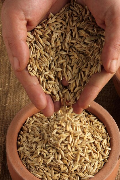 grain in clay pot