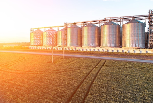 Foto elevatore del grano in metallo elevatore del grano nella zona agricola deposito agricolo per silos per il raccolto del grano