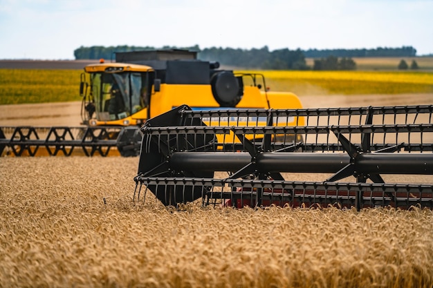 Grain harvesting equipment in the field Harvest time Agricultural sector