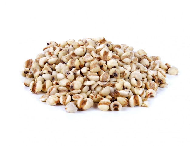 Grain seed on white background