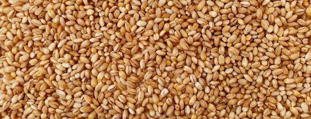 Grain texture of raw pearl barley