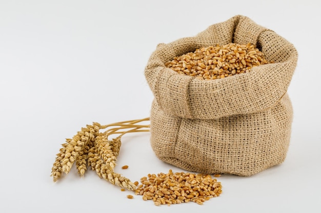 Grain wheat in burlap bag isolated on white background