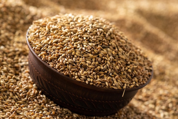 A grain of wheat in a clay bowl