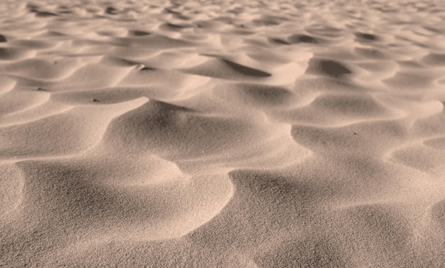 Grains of desert sand from dunes on windy beach in nature with copyspace Closeup of scenic landscape outdoors with rough and rippled surface texture Coastal region to explore for travel and tourism