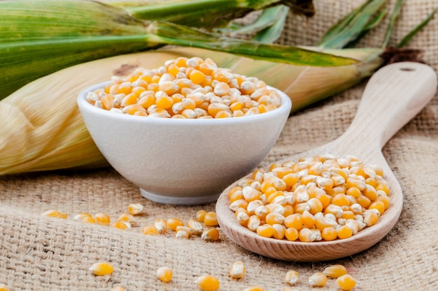 Grains of dried corn in wooden spoon with dried  corn on hemp sacks background .