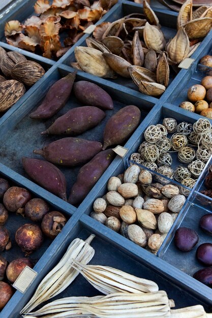 Grains and dried fruits