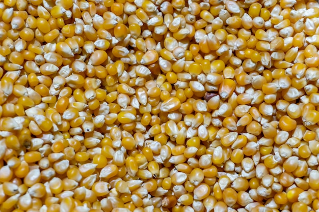 Grains and grains