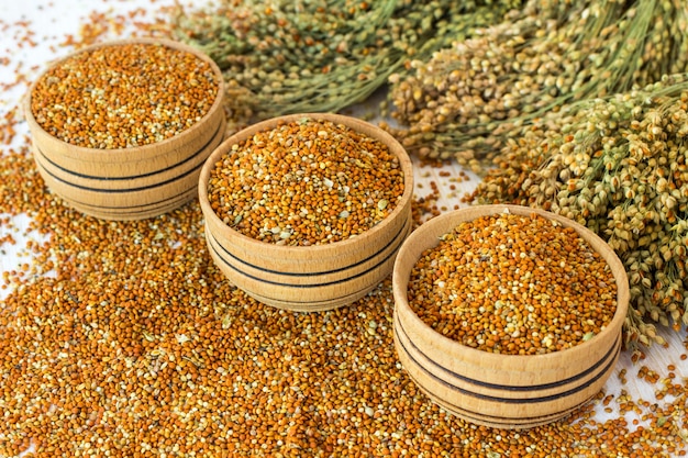 Grains of millet in a wooden a box. Twigs with millet
