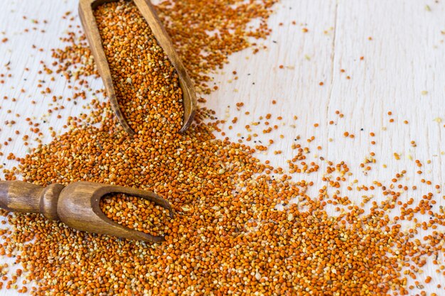 Grains of millet on a wooden spoon. Grains of millet on a white background
