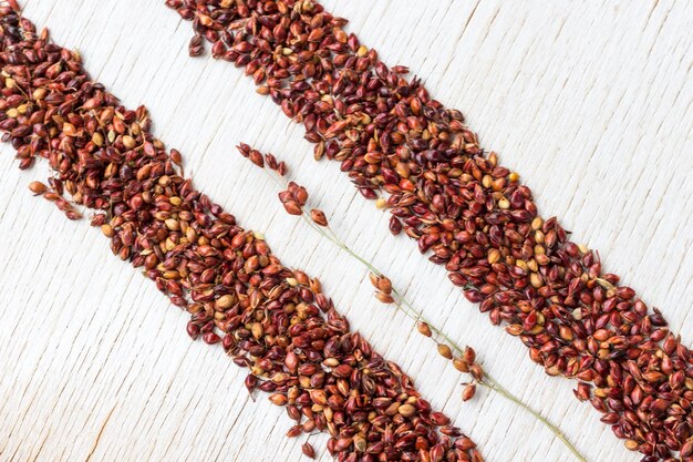 Grains of red millet lined with two stripes