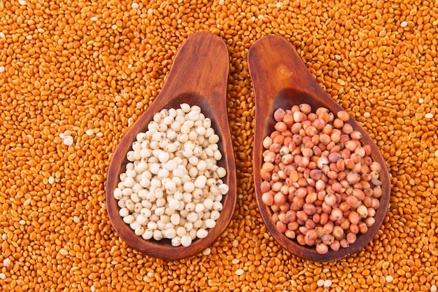 Grains of red and white sorghum Sorghum