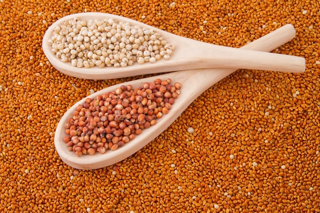 Grains of red and white sorghum Sorghum