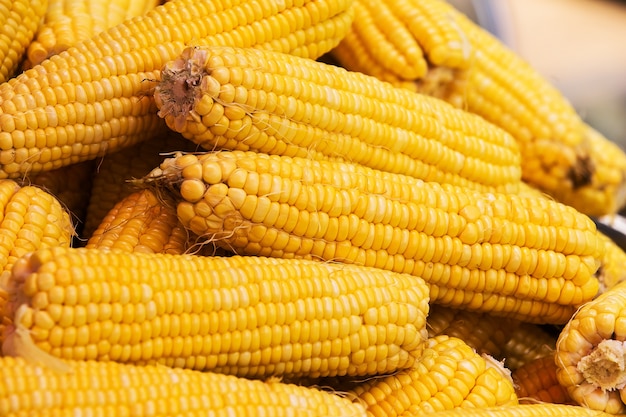 Grains of ripe corn in the market