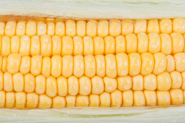 Grains of ripe corn with water drop