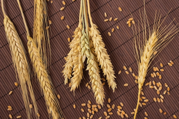 Фото Зерна, колоски пшеницы и ячменя на коричневом фоне