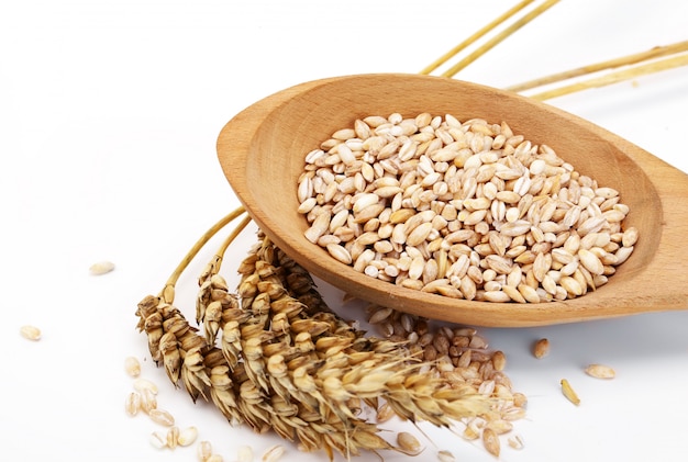 Grains of wheat on a white background