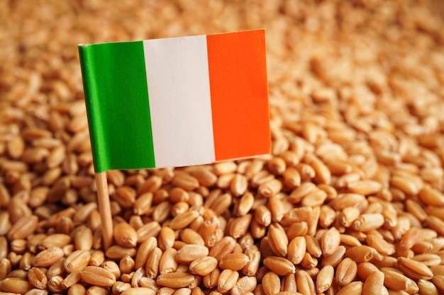 Grani di grano con l'irlanda bandiera commercio esportazione e concetto di economia