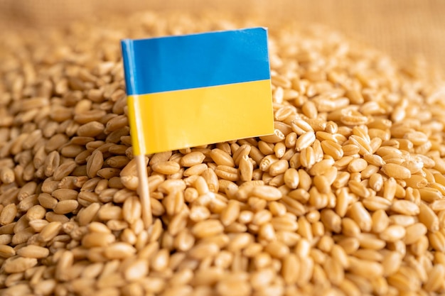 Grains wheat with Ukraine flag trade export and economy concept