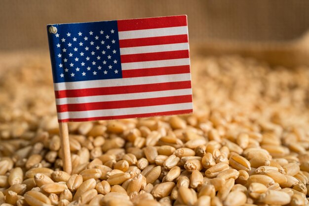 Grani di grano con usa america bandiera commercio esportazione e concetto di economia