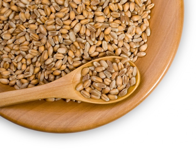 Grains of wheat