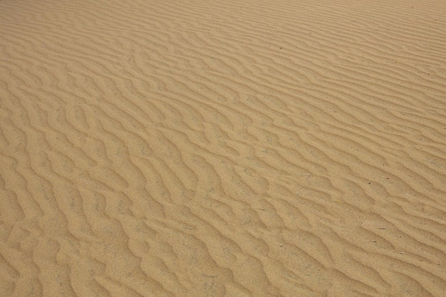 Photo gran canaria dunes - maspalomas sand desert, spain