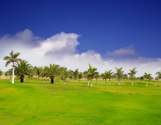 Gran Canaria Meloneras golf groen gras