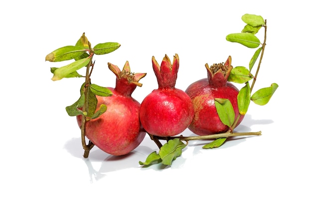 Granaatappels met groene bladeren op een witte achtergrond