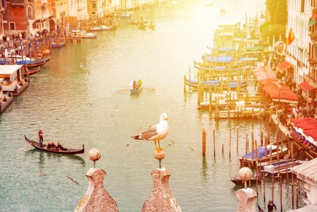 Grand Canal with gondolas in Venice Italy