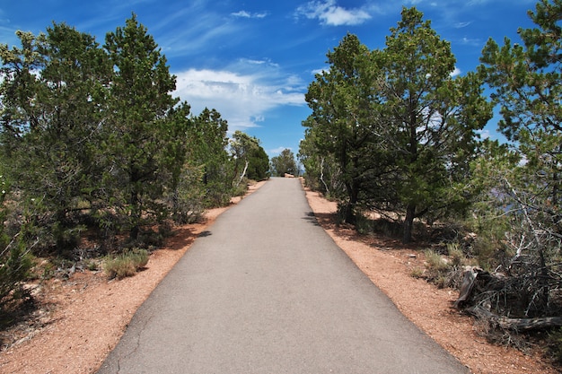 Photo grand canyon in arizona, unites states