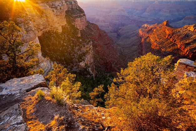 северный край гранд каньона на закате национальный парк аризоны каньон аризона пустыня панорамный вид пейзаж