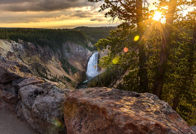 Grand Canyon van het Nationaal Park Yellowstone