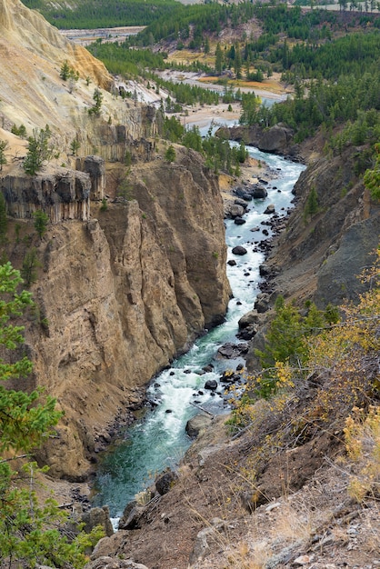 Grand Canyon van Yellowstone National Park, Landschapsfotografie