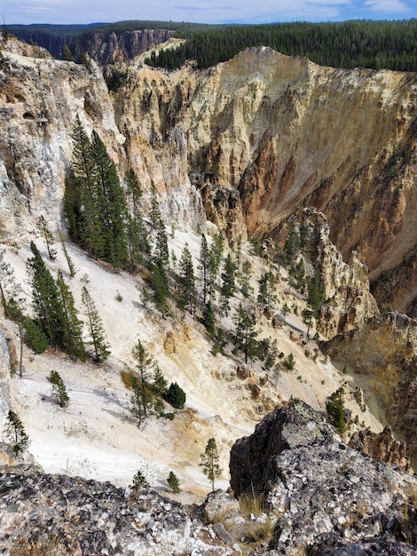 Photo grand canyon of yellowstone