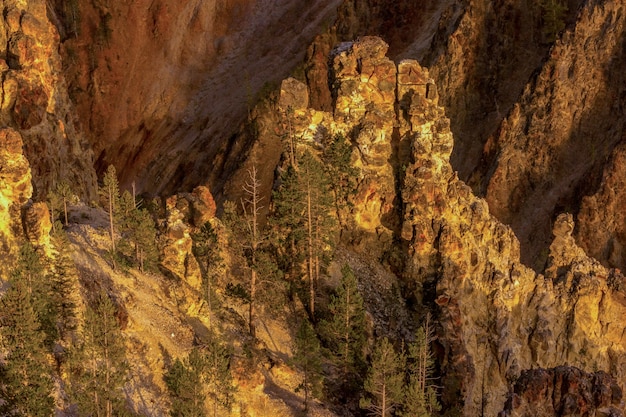 Photo grand canyon of yellowstone