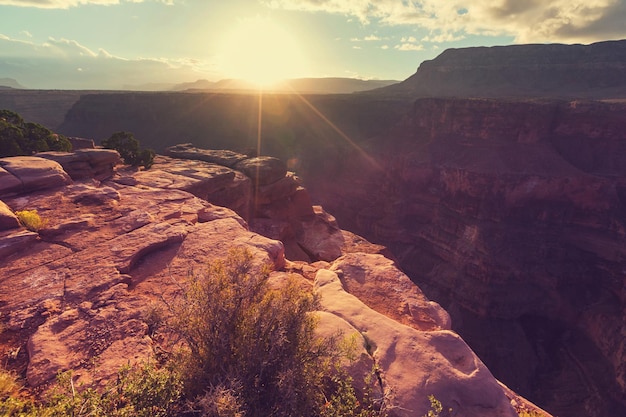 Grand canyon