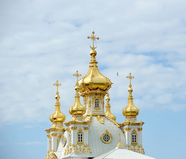 Photo the grand palace in peterhof