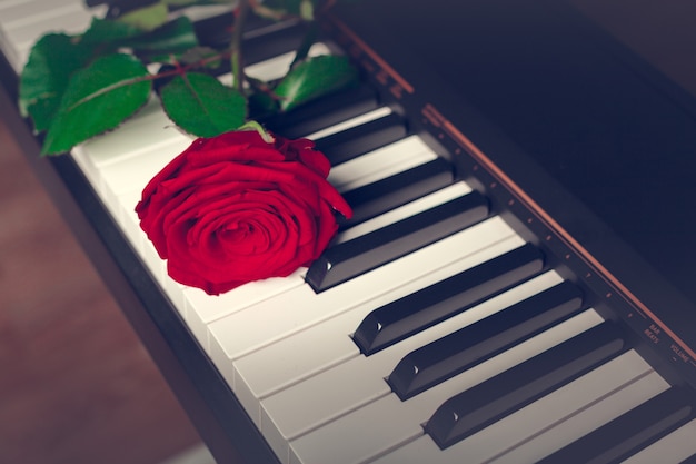 Grand piano with red rose