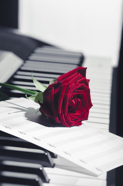 Grand piano with red rose