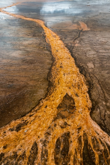 Grand Prismatic Spring