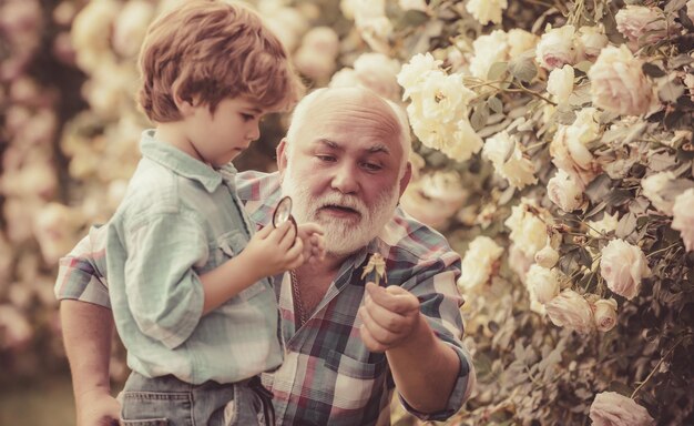 写真 祖父と孫の老いも若きも定年の概念庭のシニアgaの小さなヘルパー