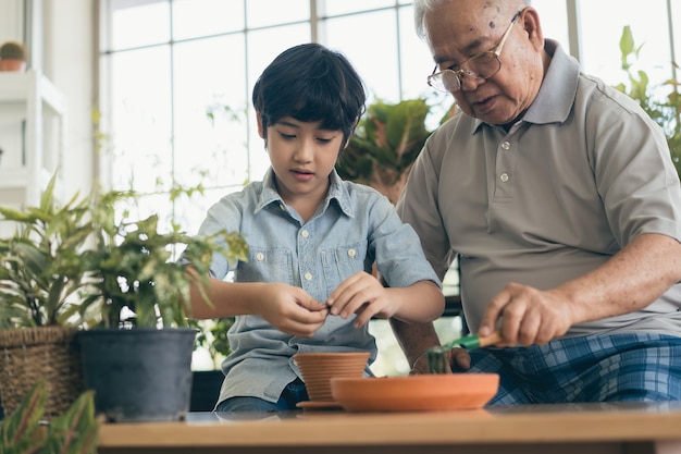 祖父の園芸と孫の指導は、屋内で植物の世話をします