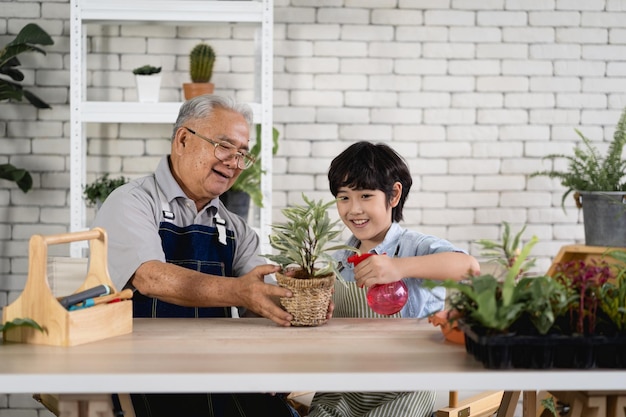 Grandfather gardening and teaching grandson take care plant indoors